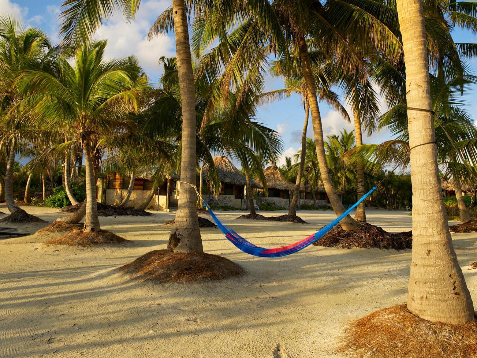 Costa De Cocos Hotel Xcalak Bagian luar foto