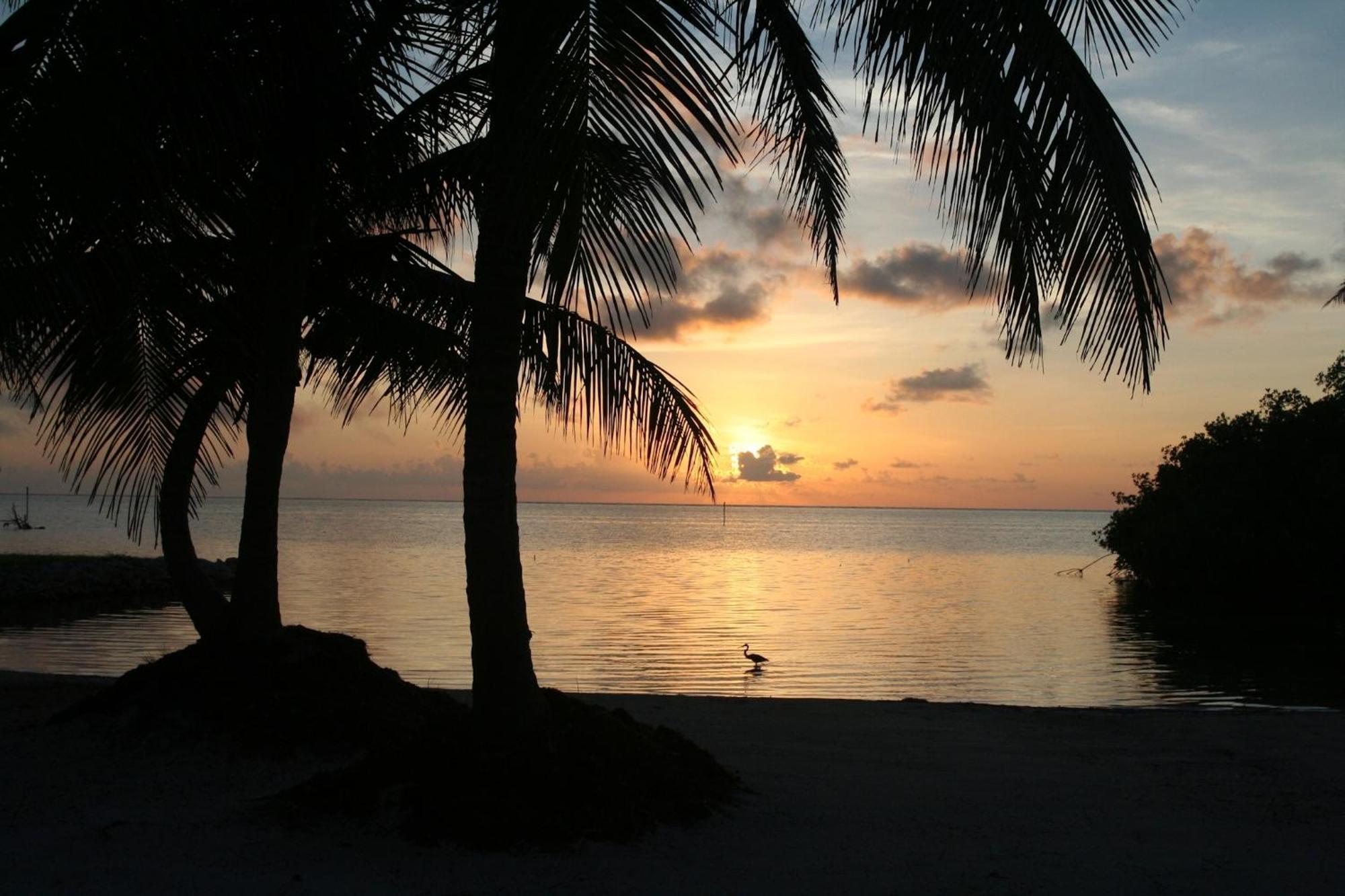 Costa De Cocos Hotel Xcalak Bagian luar foto