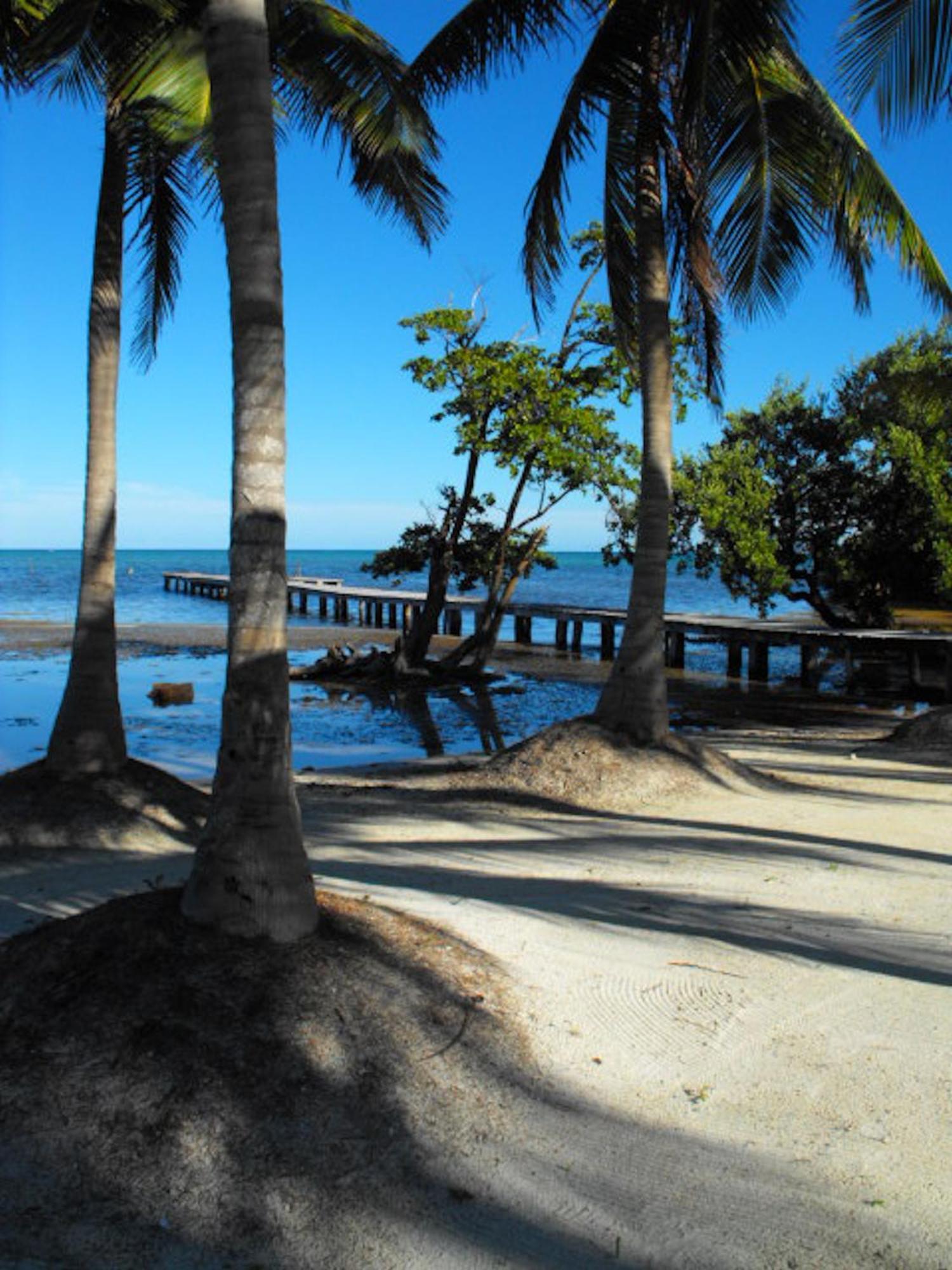 Costa De Cocos Hotel Xcalak Bagian luar foto