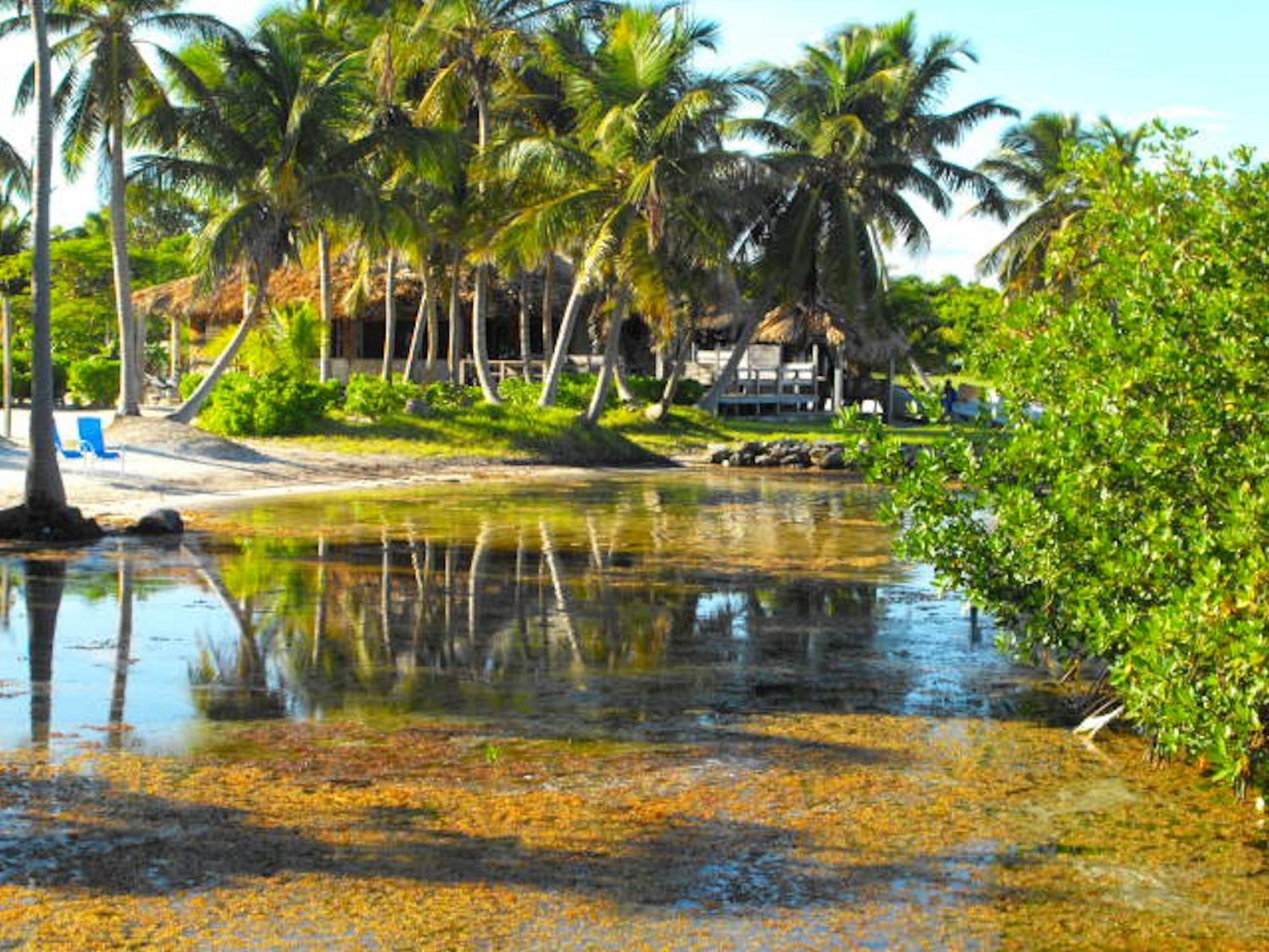 Costa De Cocos Hotel Xcalak Bagian luar foto
